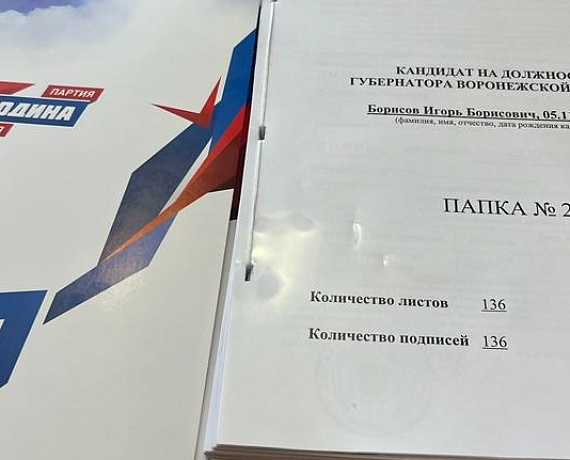 Игорь Борисов сдал подписи для участия в выборах губернатора Воронежской области
