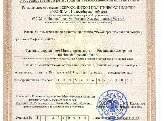 Партия "РОДИНА" в Новосибирске в фотографиях