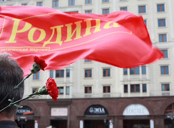 Возложение венков и цветов партией "РОДИНА" в Вечному огню, 8 мая 2014 г.