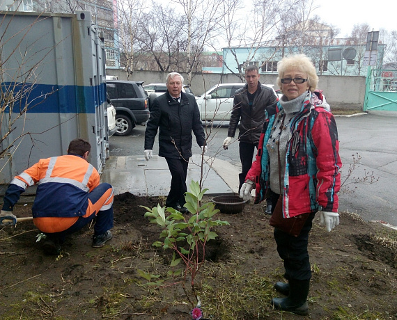 Приморские партийцы организовали субботник в Находке