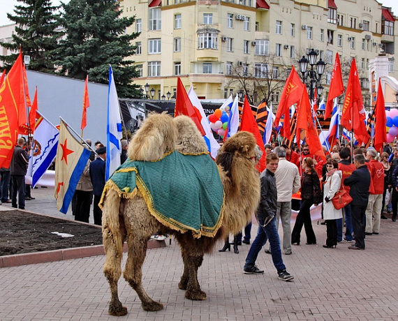 Челябинские родинцы объединили 1 мая все патриотические силы региона