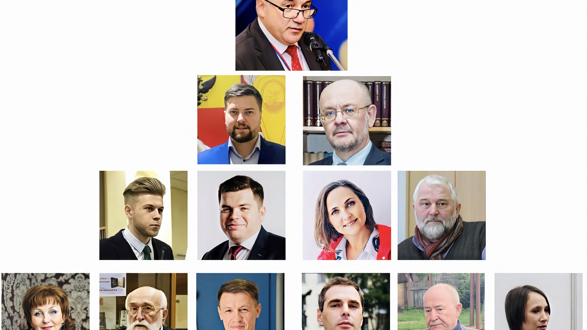 Состоялось дистанционное совещание Совета реготделения партии "РОДИНА" в Воронежской области