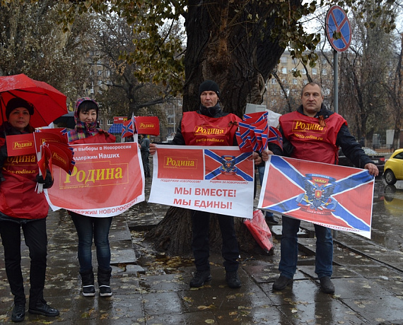 Патриоты Саратова поддержали пикетами выборы в Новороссии