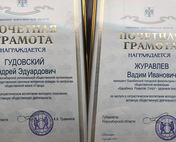 Патриотическую деятельность новосибирских соратников высокого оценил глава региона