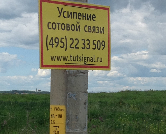 Истринские соратники провели рейд по борьбе с несанкционированной рекламой