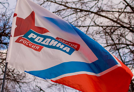 Программные разработки партии "РОДИНА"