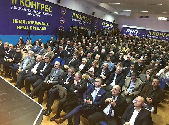 Визит делегации "РОДИНЫ" в Черногорию на съезд ДНП