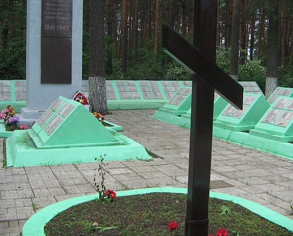 Нижегородские партийцы организовали ветерану поездку на могилу брата