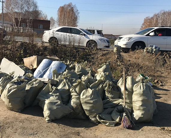 Новосибирская "РОДИНА" провела субботник по очистке территории озера Каменка