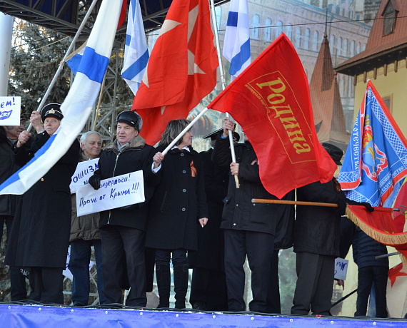 Саратовские родинцы приняли участие в митинге в поддержку Крыма