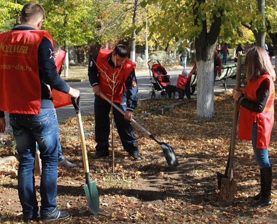 Социал-патриоты высадили деревья в Новочеркасске