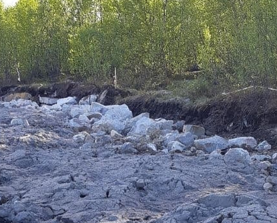 В Мурманске "РОДИНА" разберется, почему непролазную грязь чиновники выдают за дорогу