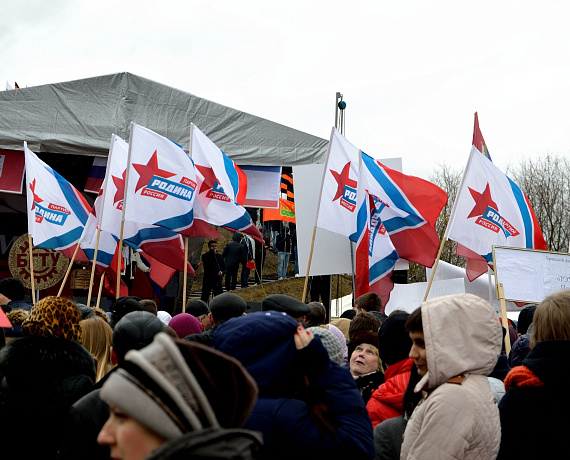 Брянская "РОДИНА" приняла участие в митинге-концерте "Мы вместе"