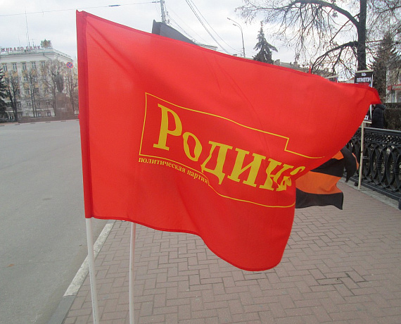 Рязанские активисты организовали пикет в поддержку Новороссии