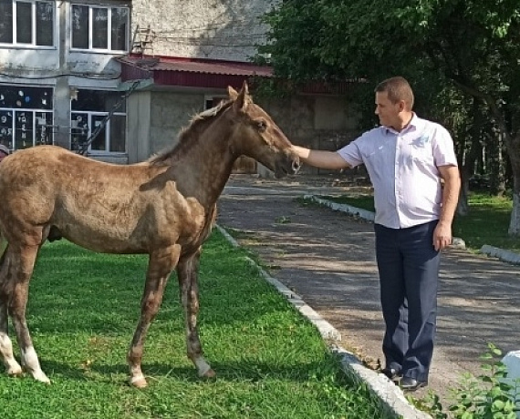 Геннадий Селебин посетил муниципальные районы избирательных округов Брянской области