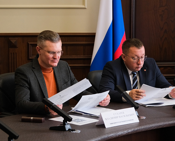 ЗАСЕДАНИЕ ПРОФИЛЬНЫХ КОМИТЕТОВ ДУМЫ АСТРАХАНСКОЙ ОБЛАСТИ