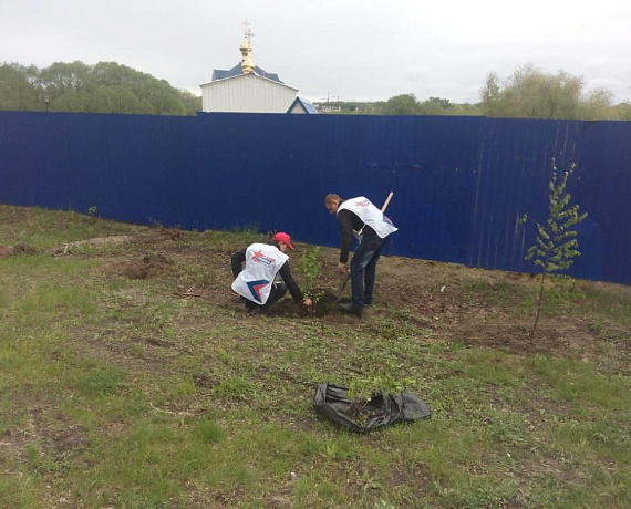 Ульяновские активисты партии "РОДИНА" приняли участие в акции "Русская берёза"