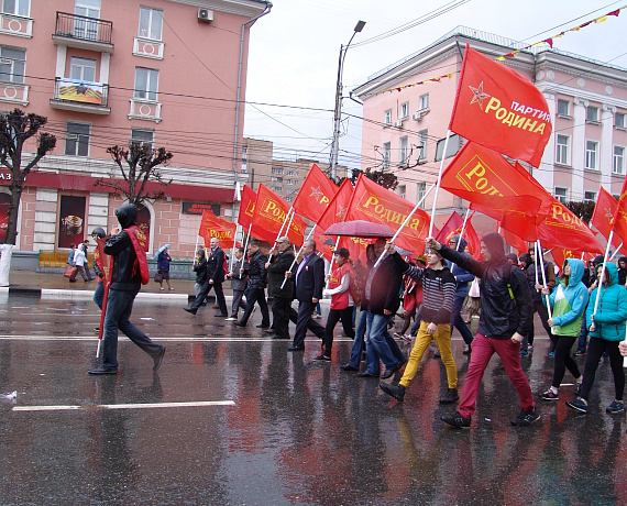 Партийцы провели демонстрацию в Рязани