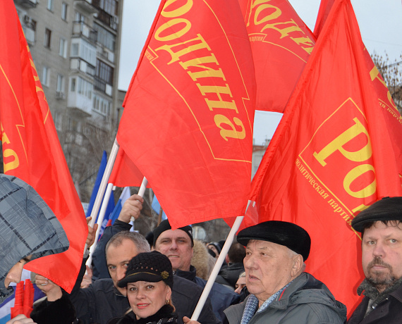 Саратовские родинцы приняли участие в митинге в поддержку присоединения Крыма к России