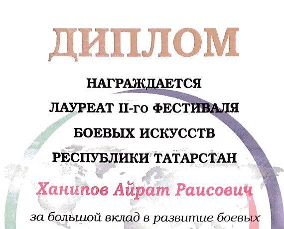 Айрат Ханипов получил награду за большой вклад по развитию боевых искусств