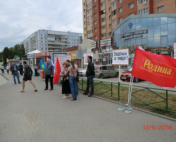 Рязанские соратники провели пикет в поддержку Новороссии
