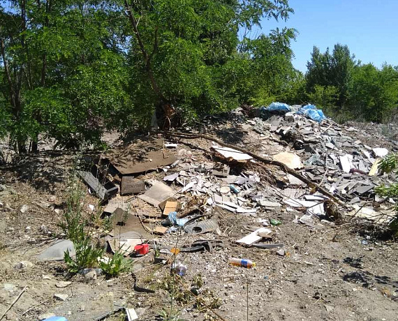 Волгоградская "РОДИНА" очистила от мусора территорию для парковки болельщиков Мундиаля