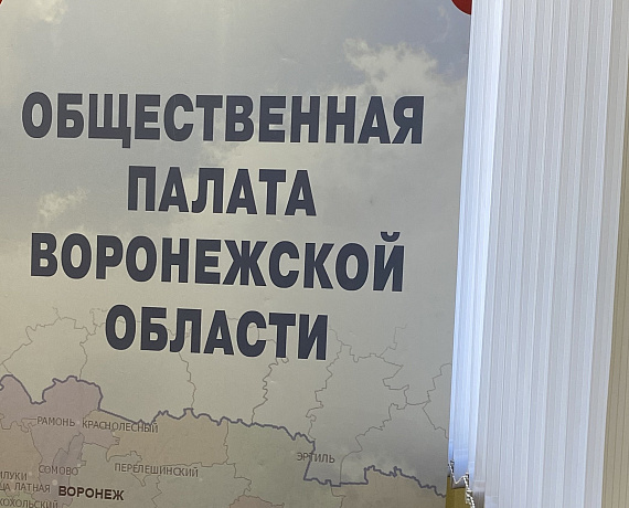 Воронежская "РОДИНА" приняла участие в круглом столе в Общественной палате региона