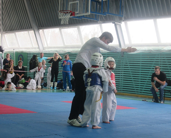 При поддержке новгородской "Родины" прошли соревнования по тхэквондо