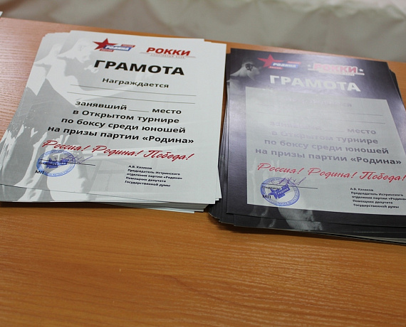 Партия "РОДИНА" провела турнир по боксу в Истре