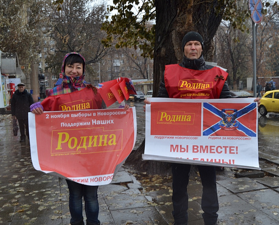 Патриоты Саратова поддержали пикетами выборы в Новороссии