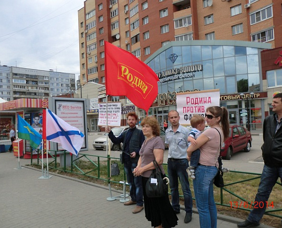 Рязанские соратники провели пикет в поддержку Новороссии