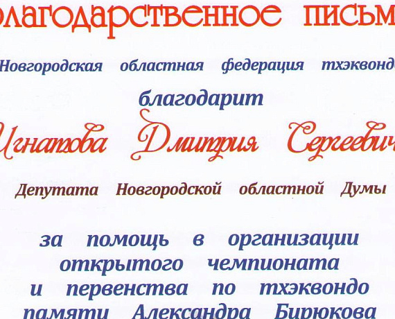 В Великом Новгороде при поддержке "РОДИНЫ" прошёл турнир по тхеквондо