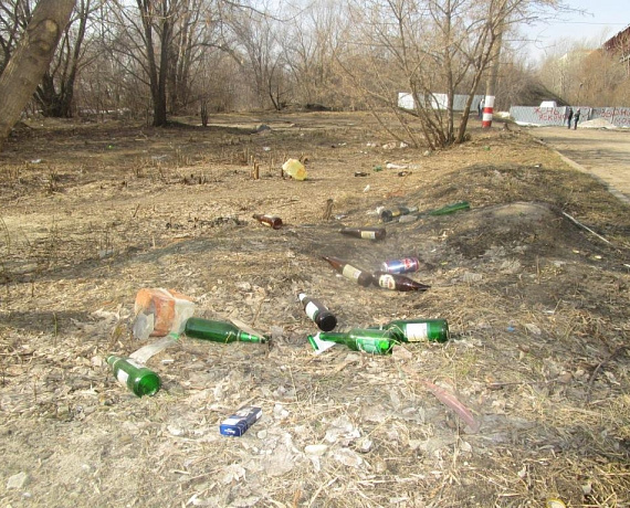 "РОДИНА" организовала субботник в Ульяновске