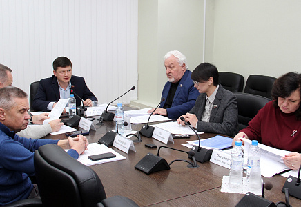 Под председательством Мягких состоялось заседание комитета по труду и соцполитике Тамбовской облдумы