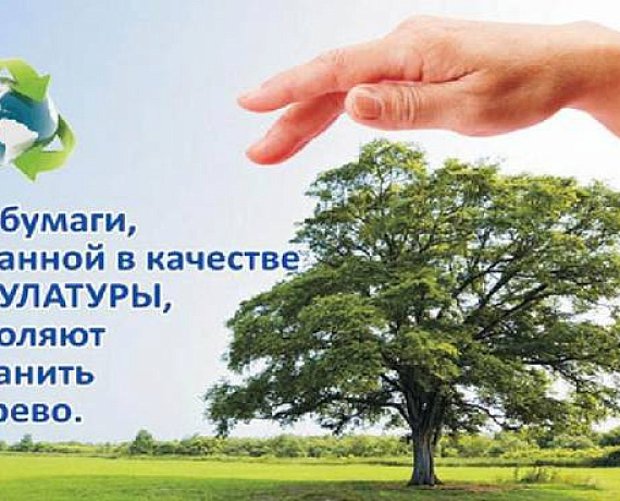 Активисты организуют сбор макулатуры в Новочеркасске